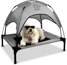 21 posts related to small dog beds with canopy. Amazon Com Floppy Dawg Just Chillin Elevated Dog Bed Medium And Large Size Dog Cots In A Variety Of Colors Removable Canopy Used As An Indoor Or Outdoor Dog Bed Lightweight And