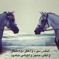 صور خيول مكتوب عليها كلام جميل فوتوجرافر Arabic Funny Photo Quotes Strong Quotes
