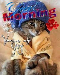 Pin Di Verginia Vera Su Buongiorno Buona Notte E Buongiorno Divertente Buongiorno Buona Giornata