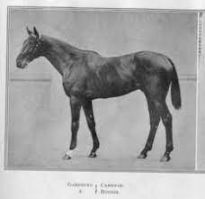 Gardefeu The Sire Of Chouberski He Was By Cambyse And Out Of The Mare Bougie By Bruce He Was A Multiple Stakes Winner In Horses Horse Pictures Thoroughbred