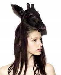 Creative Animal Hair Style Collections Hair Styles Hair Humor Funky Hairstyles For Long Hair