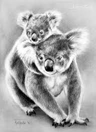 Koalas By Artbykerli On Deviantart Koala Drawing Koala Animal Drawings