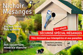 Nichoir Mesange Preparation Et Installation Du Nid Auberdog