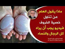 إذا أكلت خصية الخروف أو خصية العجل فأنت تمنح نفسك هذه الكنوز قطعة من خصية الخروف وانسى هذه الأمراض Youtube Health Health Fitness Health Tips