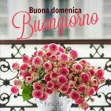 Belle Whatsapp Domenica 00324 Happy Sunday Floral Floral Wreath