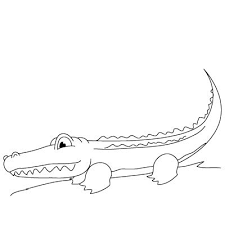 How To Draw An Alligator Fun Drawing Lessons For Kids Adults Drawing Lessons For Kids Animal Drawings Cool Drawings