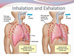 Pin On Yogalates Bliss In Dubai Www Yogalatesblissindubai Com