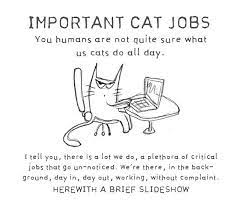 A Long List Of Important Cat Jobs In Case You Wonder What They Do All Day Comics Funny Quotes Cats Funny Cats