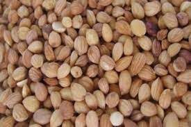 بخاخ المحلب للشعر