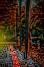 Image Dresult For Cb Edit Background Hd D Dslr Background Images Best Background Images Blurred Background Photography Search free background wallpapers on zedge and personalize your phone to suit you. image dresult for cb edit background hd