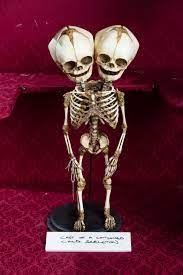 Pin On The Ugly Party