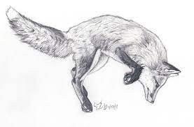 Fox Jump Sketch By Silvercrossfox On Deviantart Fox Drawing Sketches Fox Sketch Fox Artwork