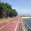 There are 17 hong kong bicycle for sale on etsy, and they cost £31.58 on average. Https Encrypted Tbn0 Gstatic Com Images Q Tbn And9gcq4mc0heheltjtvmhri0m4oxh98s3omzazdkskuooonzhnglo2cwebvivg4qejd2 Zwvqr Uhtjng Usqp Cau Ec 45781601