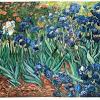 In june he painted a number of pictures of flowers in vases, including vase with daisies and van gogh had characteristically thrown himself into his work during this short period of relative calm and happiness. Https Encrypted Tbn0 Gstatic Com Images Q Tbn And9gcsb2wmtc4uec4elt0qeebhv1w0mofth73y1ypawxjshyufrwphibbztjymfi1qhmarrdi5azr7zda Usqp Cau Ec 45781601
