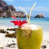 Neither coconut water nor sports drinks contain enough sodium or carbs for the heavy perspirer. Https Encrypted Tbn0 Gstatic Com Images Q Tbn And9gcqa9bfqle8qvkv96ano Cir5oeszap1wgtjbf3gw9wifu1ccdospluzc1yyrnoqcamwaz Rswd7ya Usqp Cau Ec 45781601