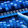 Organisms that have altered genomes are known as transgenic. Https Encrypted Tbn0 Gstatic Com Images Q Tbn And9gcrsaqlzfaaqeruvoer8xnfbsvbzqnlnp0mloznwwlvmlvkljpmfjkqfdebpo37fkguvno19iuhaaw Usqp Cau Ec 45781605