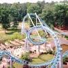 Drachen fire was a steel roller coaster located at busch gardens williamsburg in williamsburg, virginia, usa. Https Encrypted Tbn0 Gstatic Com Images Q Tbn And9gctvq8zlaxxr5epoeocwmtpwuv6wfo Ptntmqypse0sphwjzcpjmomcll3ootlurg9czhvamskhxpa Usqp Cau Ec 45781605