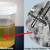 Locating dried urine home made urine cleaners cleaning carpets cleaning upholstery preventing a relapse. Https Encrypted Tbn0 Gstatic Com Images Q Tbn And9gcsnzc0yoz7e9svbapfggqvcocuwxempmt1ym2q Bkcthzh5qn Jtwcigwgurngbj7no9uvr Lqm5a Usqp Cau Ec 45781605