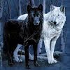 By whitespiritwolf on deviantart,black and white anime wolves 19 hd wallpaper,i was a teenage okami {private},white.:far away.ice edition:. Https Encrypted Tbn0 Gstatic Com Images Q Tbn And9gcsn2tpnpqyvobvqn2mlls9gb8t6kck4x0qjhro7sgobp Dri6wvtfcdghfixh9y Sjgvd7vkc3m5pifbwjhjw Usqp Cau Ec 45799660