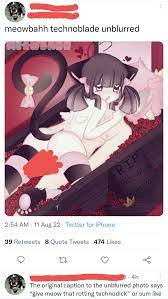 Meowbahh technoblade unblurred photo ❤️ Best adult photos at ...