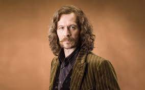 Sirius black gary oldman #actor #face #beard #mustache #1080P #wallpaper  #hdwallpaper #desktop | Harry potter, Harry potter sirius, Sirius black