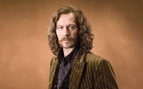 Sirius black gary oldman #actor #face #beard #mustache #1080P #wallpaper  #hdwallpaper #desktop | Harry potter, Harry potter sirius, Sirius black