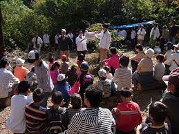 しいたけの森プロジェクト : 「親子de里山体験!!」やりました!!