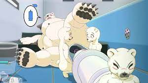 Polar bear enema - ThisVid.com