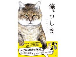 あらやだ、なにこれ。子猫のセクシー肉球マッサージにノックアウト悶死寸前 : カラパイア