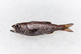 Seafood City