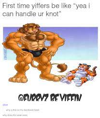 Furryz be yiffin | Yiff | Know Your Meme