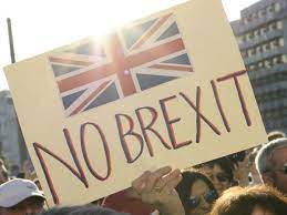 Eine frau protestiert im fernsehen gegen den brexit völlig nackt