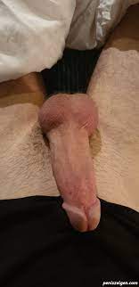 Dicker Cock - Kostenlose Penis Bilder und Schwanzfotos