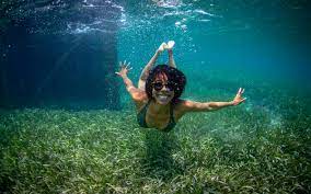 What I Know About the Ocean | Sierra Club