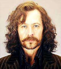 Sirius | Imagens harry potter, Harry potter filme, Harry potter