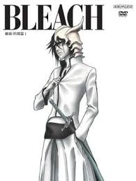 Bleach (season 6) - Wikipedia