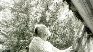 Große Künstler - Zum 23. Todestag: Auf Hundertwassers Spuren im Waldviertel  - NÖN.at