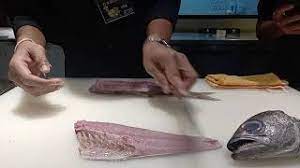Kuromutsu #Sakana #Sunbrigdefoods #Nihonsaiikoichiba - YouTube