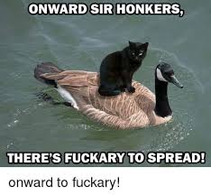 ONWARPISIRIHONKERSonward to fuckary  meme  fuckary  cat  goose   funny pictures  funny pictures  best jokes comics images video humor  gif animation - i lold