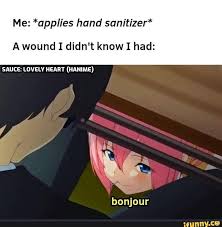 Sauce: Lovely Heart - Me: *applies hand sanitizer* A wound I didn't know I  had: SAUCE: LOVELY HEART (HANIME) bonjour - iFunny