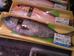 Local Shizuoka Fish & Seafood At Parche Fish Market In Shizuoka City:  Including Red Sea Slugs! | SHIZUOKA GOURMET