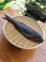 Kuromutsu - Picture of Deigo, Mexico City - Tripadvisor
