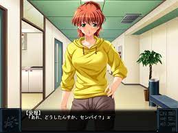 The Visual Novel Database