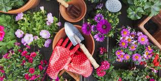30 Best Spring Flowers - Popular Flowers to Plant in Spring
