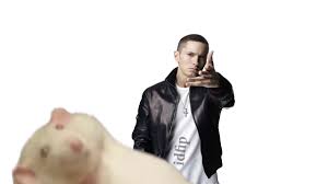 Eminem throws the rat - YouTube