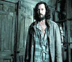 Sirius Black - Harry Potter and the Prisoner Of Azkaban (2004) | Harry  potter, Sirius black, Harry potter sirius