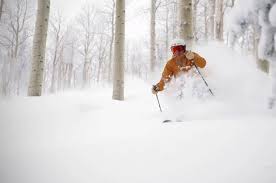 Tree well, deep snow suffocation risk serious this season |  SteamboatToday.com