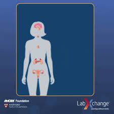 Adrenal-gland GIFs - Get the best GIF on GIPHY