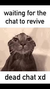 Waiting for the chat to revive dead chat xe - iFunny