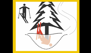 Must Read: Tree Wells Account For 20% of All Ski Area Deaths | Unofficial  Networks